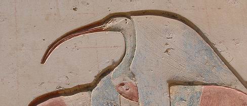 Templo de Ramses II en Abidos. Copyright: Juan de la Torre y Teresa Soria.